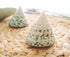 Jade Green Seashell Trochus Cone Shell